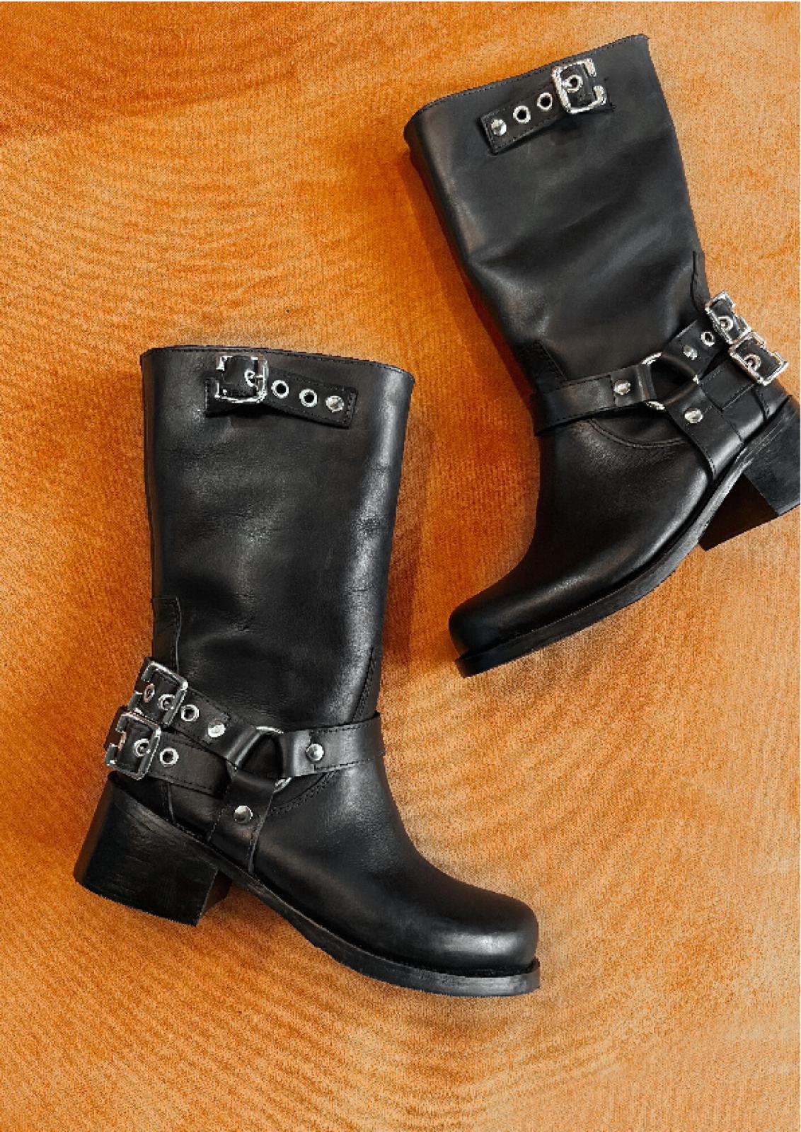 Bota Lapa