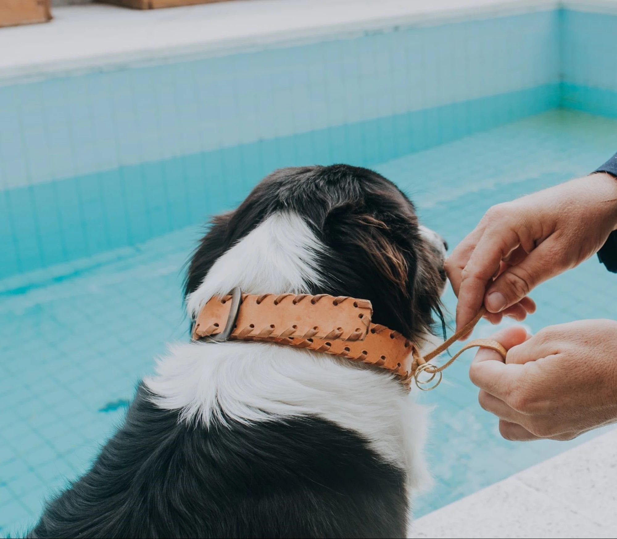 Doggie Necklace